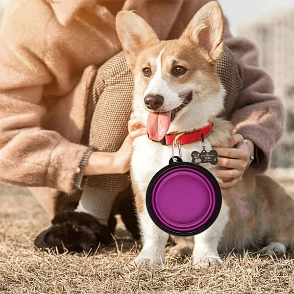 Pawsome™ Portable Bowl 